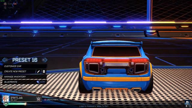 All Painted Fennec Rocket League