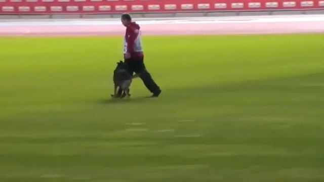 Alexey Breikin Алексей Брейкин   Russia   C