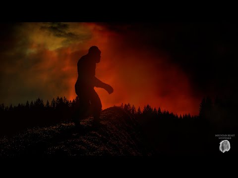 6b0a218c0a02d1fe15ad3d55feba258e