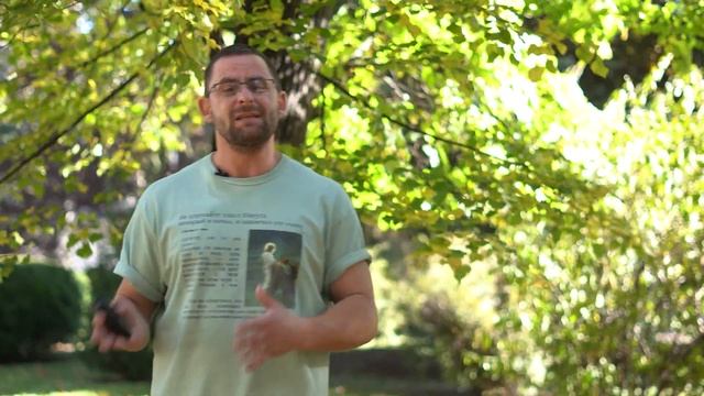 Ноги и руки вырастали на глазах людей, исцеления и многое другое на Азуза стрит | Часть 1