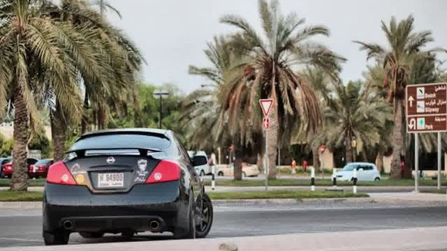 New Honda Element New Zealand - Youtube Videos