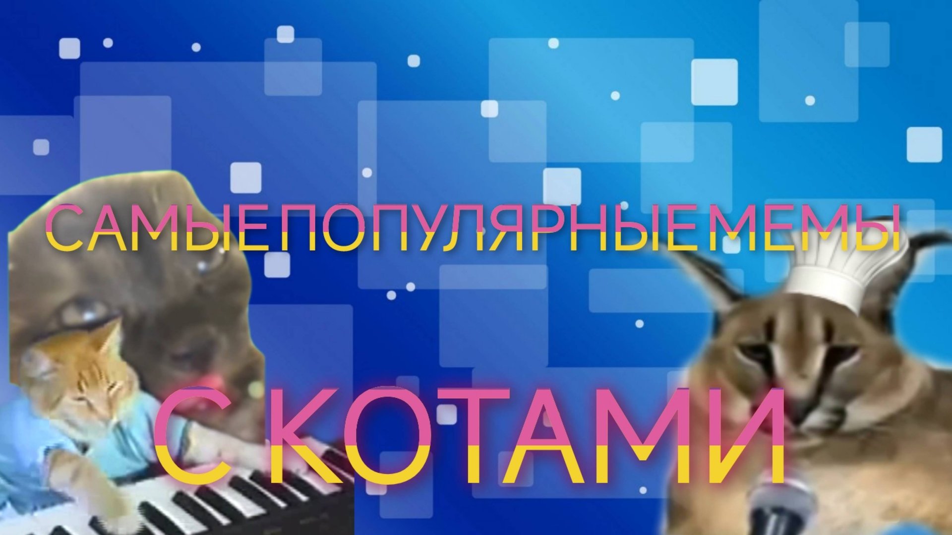 Самые популярные мемы С КОТАМИ