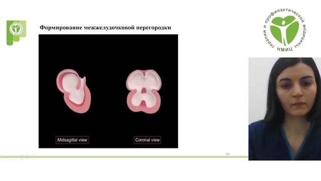 Топчян А.Г.  Эмбриология проводящей системы сердца