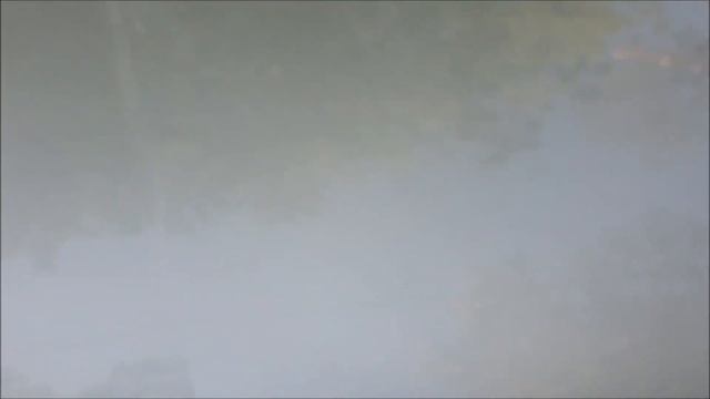 Желе: традиционные рецепты на ваш выбор