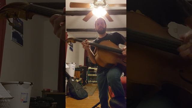 What Any Guitarist Sounds Like On Cello.