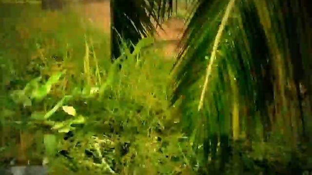 Crysis Patch 1.2.1