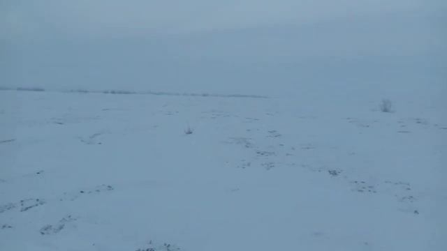 12eb6c8c18de0cf5fedc000d60d5f97b