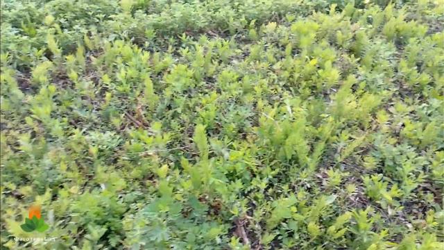 3eb8d36c899d08407b06604053732fe4