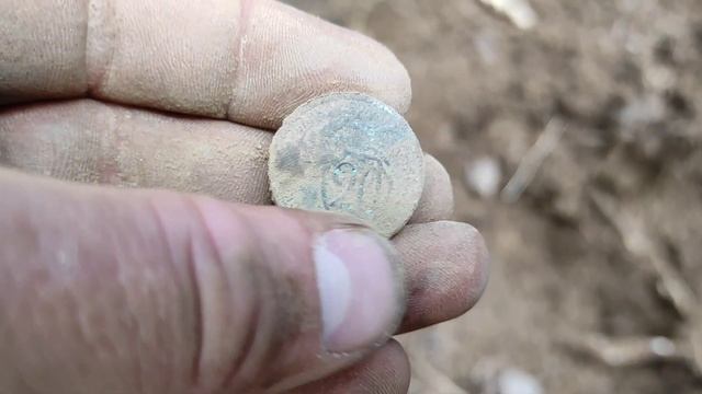 Minelab X-terra 705 Копаю монеты в лесу с теркой 705. Катушка 18.75 кгц