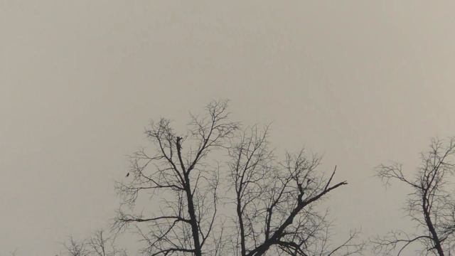 конец.января.начало.февраля.2022.года.