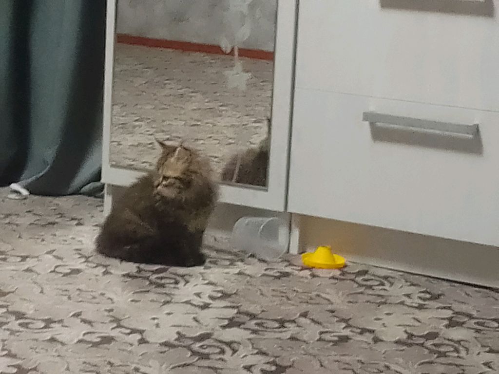 2 часть 24 часа одна