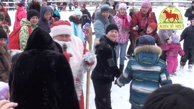 Новый год 2014 живой мир