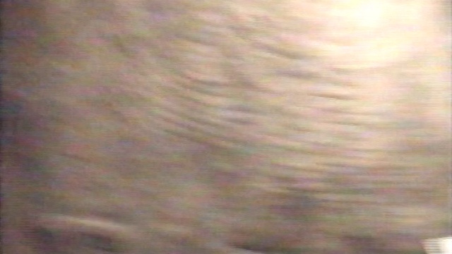 Vieliczka2003-iz-ds014-s47l32