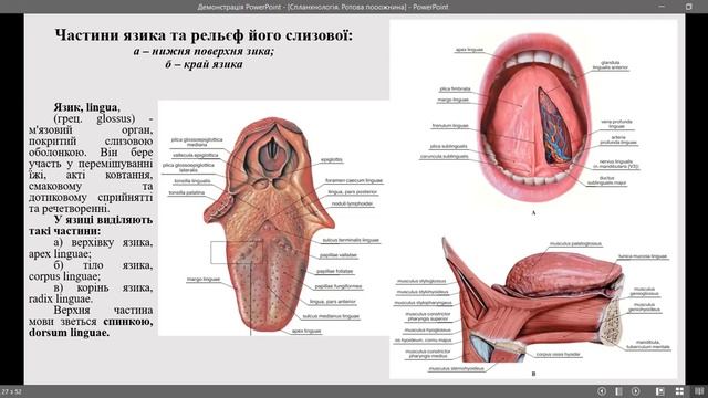 Cab1e6156e5438b12ab39f4ab3b0c8e8