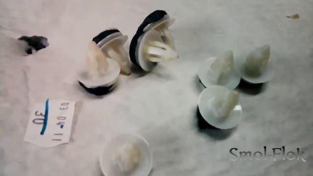 Уникальные идеи для оформления вашего дома