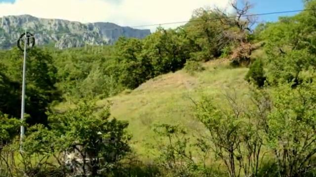 Ялта Виктория 12 соток в районе сан.