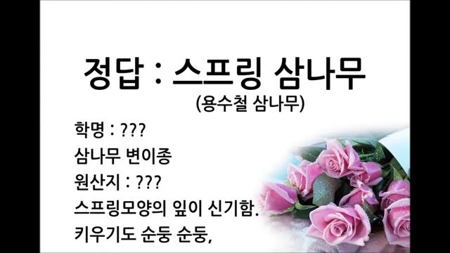 식물이름 알아맞추기 2탄