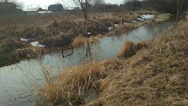 ОБЗОР ДАЧНОГО  УЧАСТКА  У ВОДОЕМА  В ЕКАТЕРИНБУРГЕ