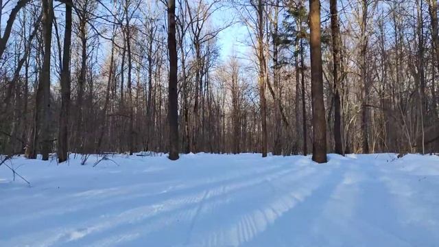 Катание на мини санях в Масленицу, Москва, Теплостанская возвышенность. (2)