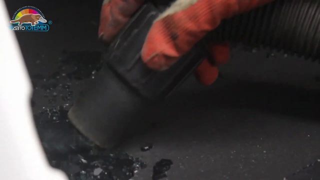 Как украсить свой дом с помощью растений