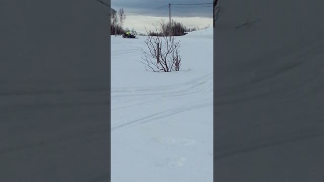 Yamaha Et340 Senja In Norway