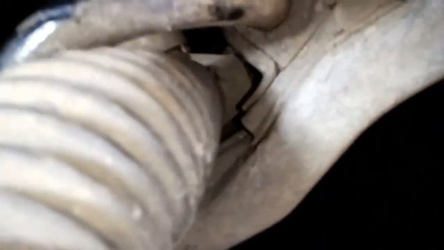 Езда по волнам