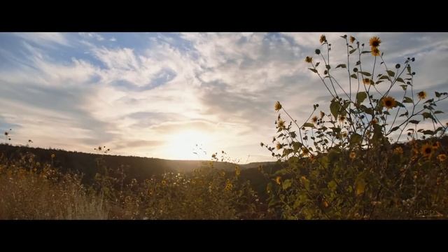 A PLACE IN THE FIELD Official Trailer (2023)