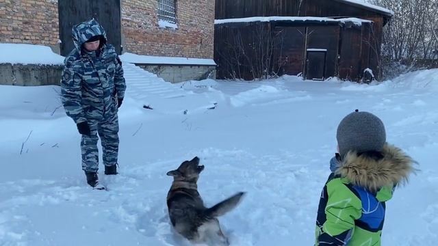 65b364523a67c5606e38003cc638491d