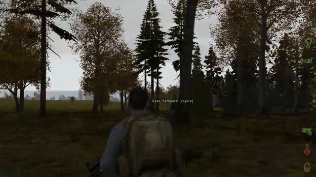 DayZ № 2 - Вернули украденный вертолет.