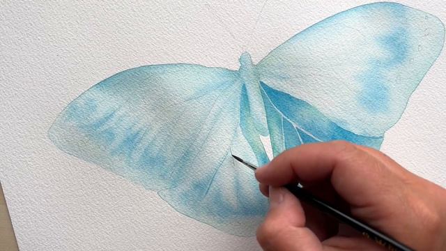 Blue Butterfly Watercolour Painting. How To Paint Iridescence?
