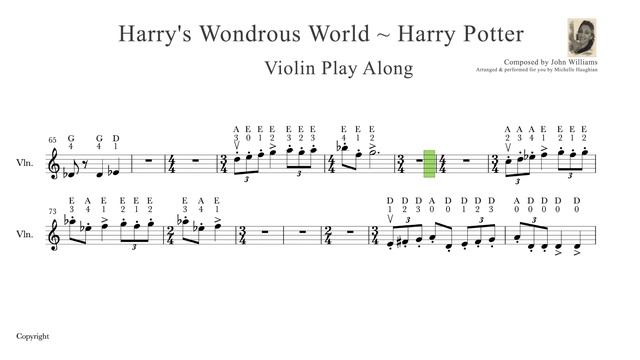 Learn Harry Potter Music On Violin