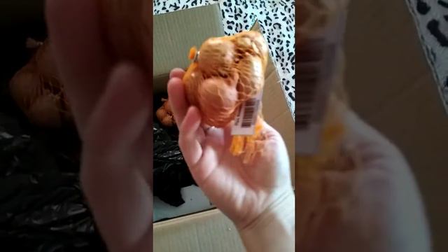 Сады России.Пришла посылка от Садов России