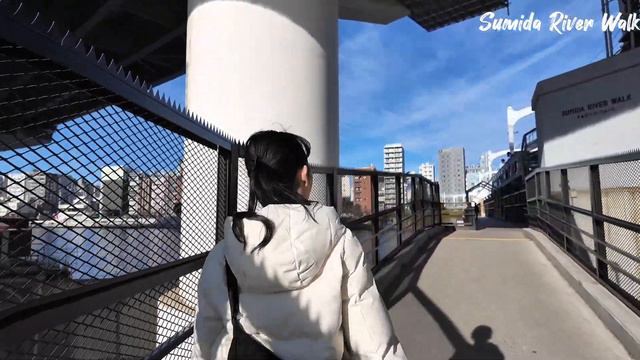 隅田川ウォークを歩きながら東武伊勢崎線の電車を眺めましょう。