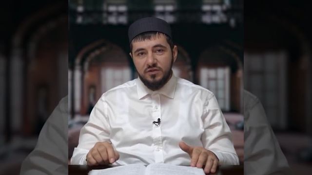 447faee43796c24a26f597b54f08a9e5