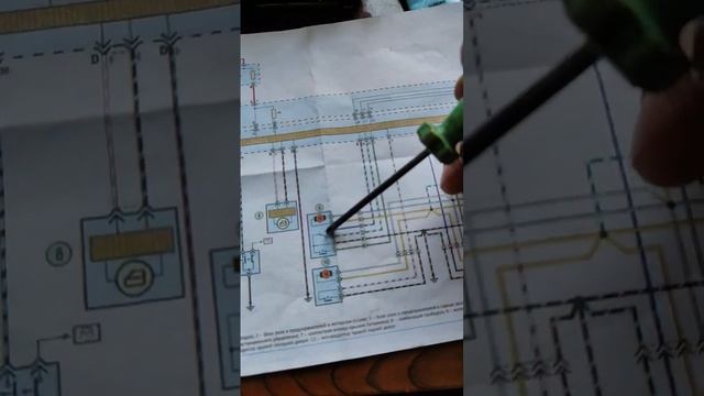 Fiat: стиль и мода на дорогае