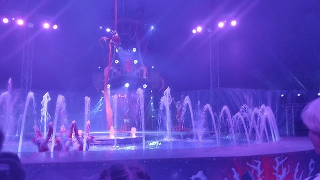 цирк топовый