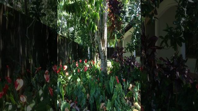 Summer Guesthouse - Paiyagala South - Sri Lanka