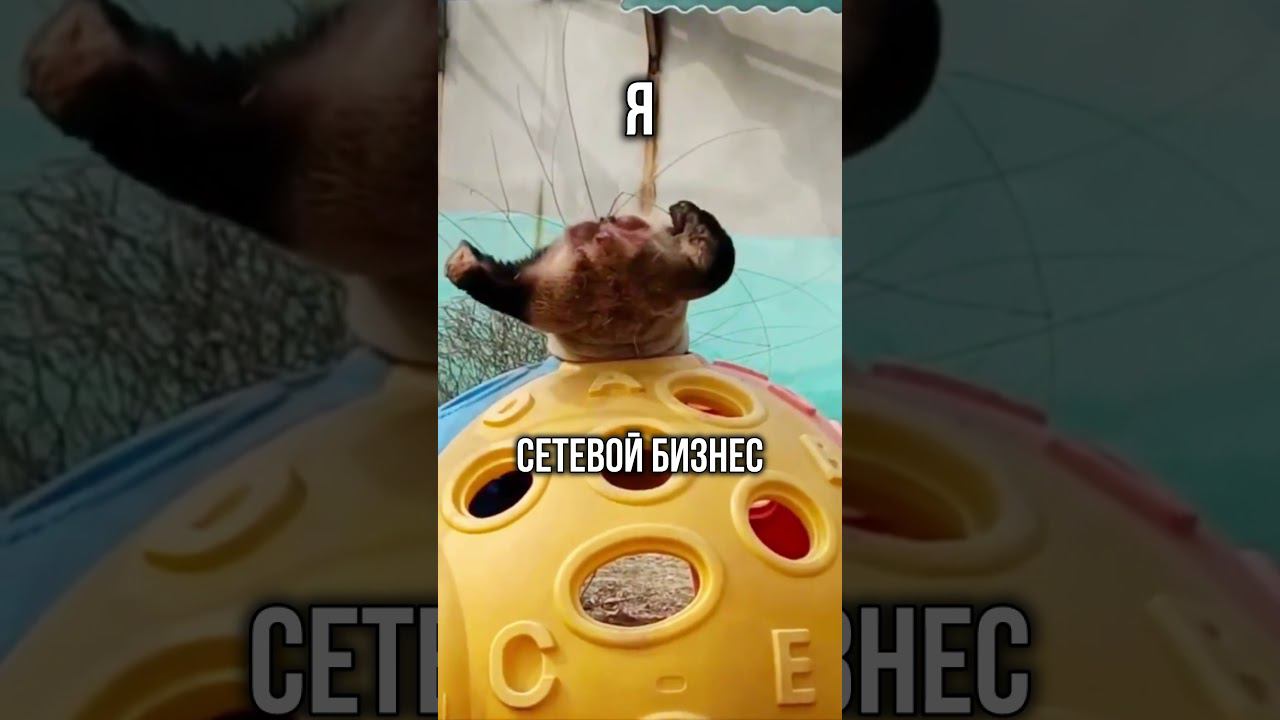 50dc0b8d4bc5ec78ea9c1244bb663547