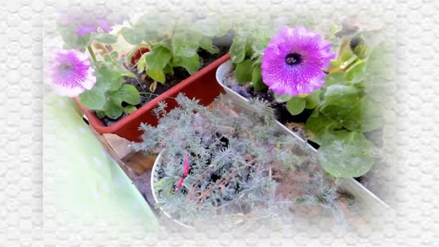 Мой красивый балкончик