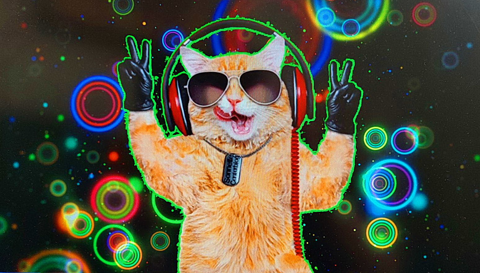 Eff6ba355941636252b99022be592b73