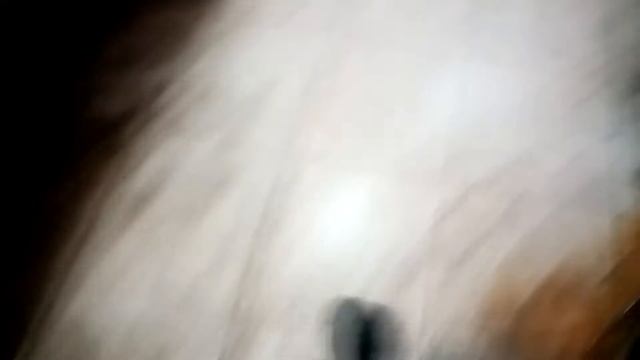 Ремонтное действие: оперативное качество