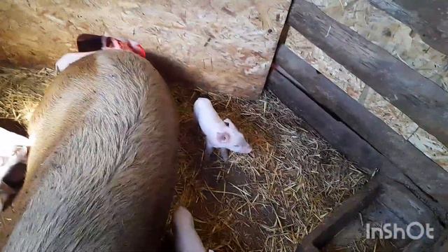 Надо принимать сложное решение.