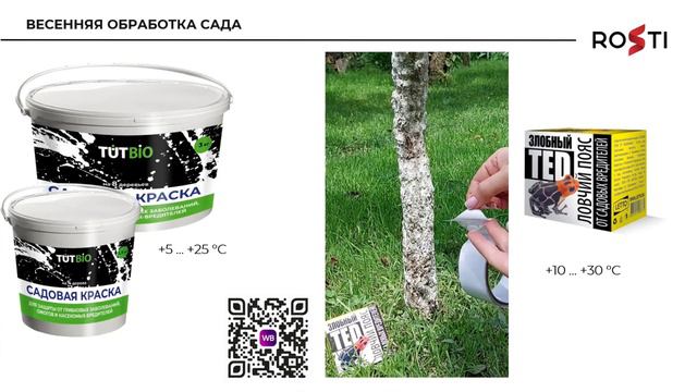 Какие работы в саду нужно провести ранней весной и какие препараты понадобятся?