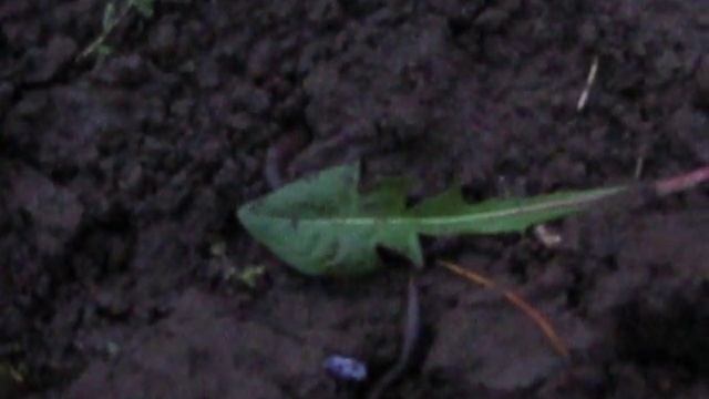 Fc0819244b405be303336d4f0e3a5207