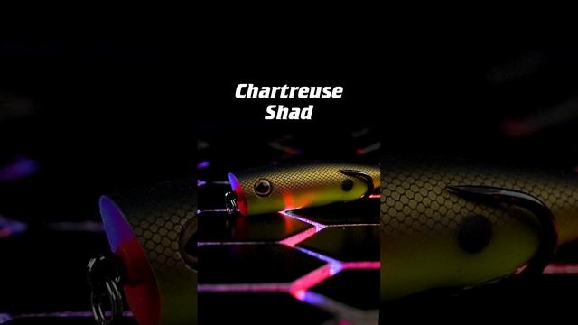 Zoo Pop - Snagproof Zoo Series