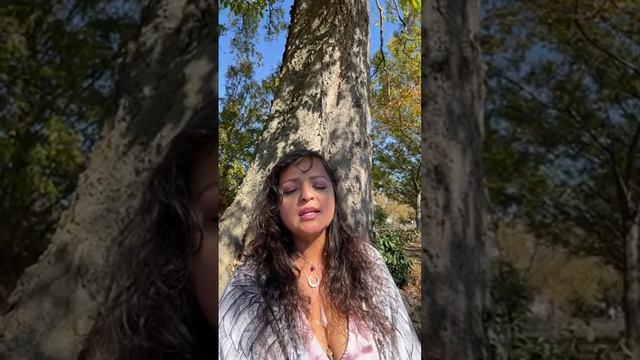 Rising Phoenix Aurora Is Live In Nashville!