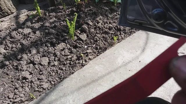 Kia Ремонт и обслуживание: Rio, Sportage, Ceed