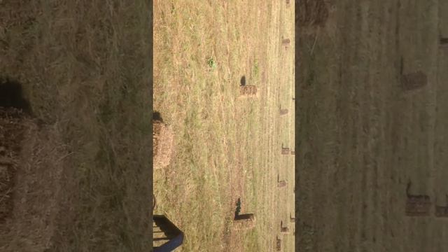 Пресс подборщик Киргизстан с хоботом