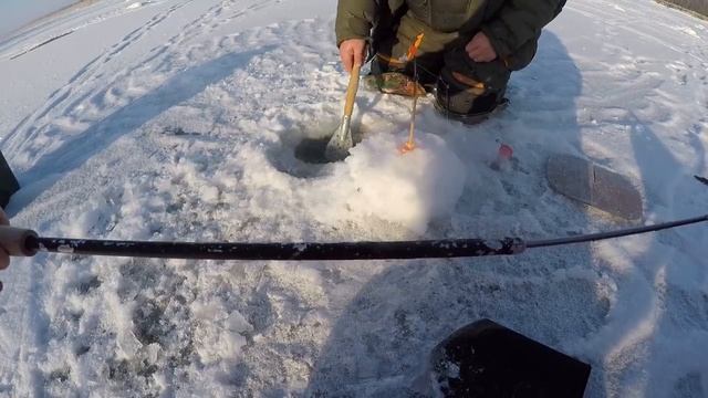 СРАЗУ ЗАГНУЛО РЯД ЧУПА ЧУПСОВ! СТАЯ КРУПНОЙ РЫБЫ ПОД ЛУНКОЙ! ЛЕЩ ЯЗЬ НАЛИМ!