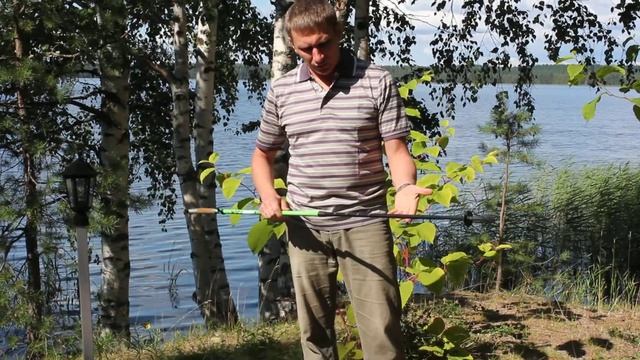 4 SanEgo Телескопические КВ Плюс